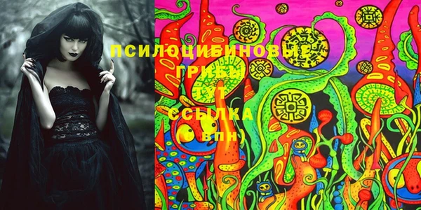 дживик Алзамай