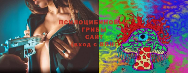 стаф Алексин
