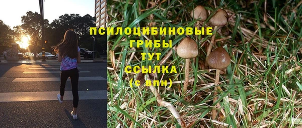 дживик Алзамай