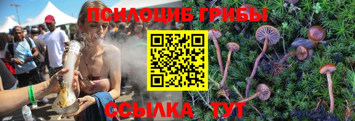 Галлюциногенные грибы Magic Shrooms Чита