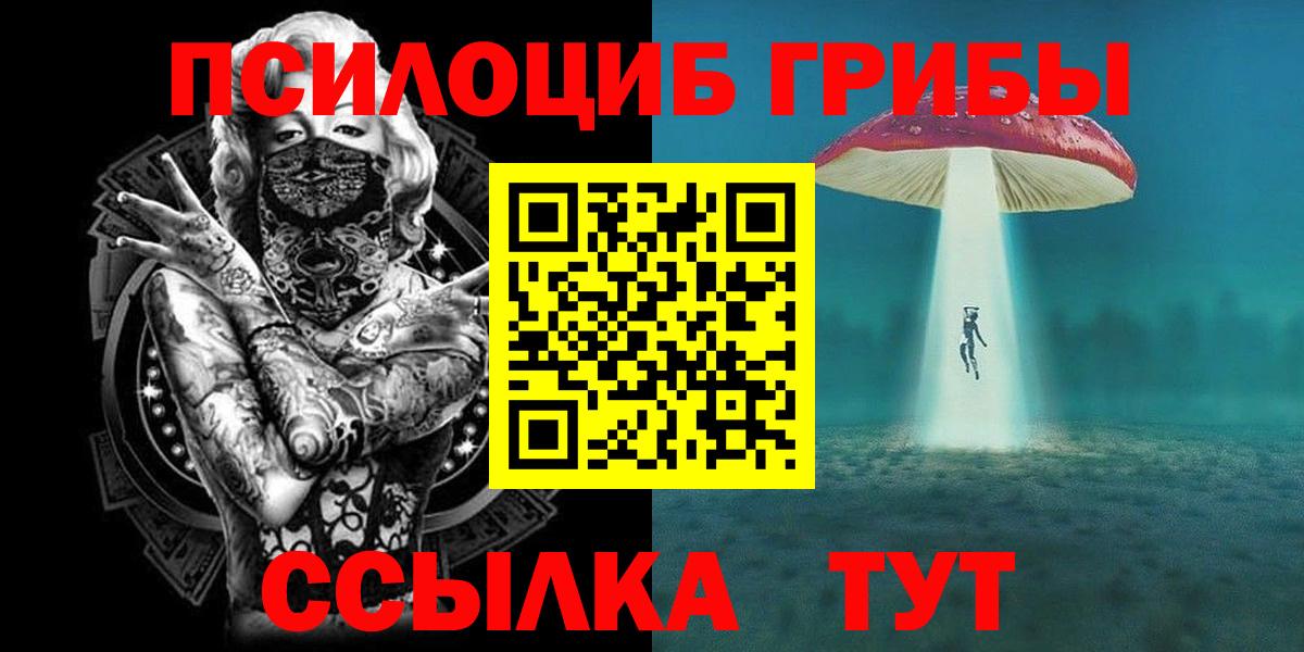 Галлюциногенные грибы GOLDEN TEACHER  что такое наркотик  Вход с VPN  Чита  Галлюциногенные грибы Psilocybe 