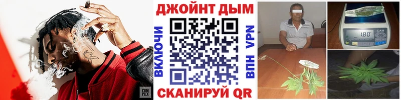 дарнет шоп Чита Бошки марихуана сатива